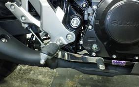 SUZUKI V-STROM 250