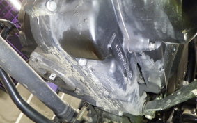 OTHER +UNREGISTERED MODEL by BDS250 1992