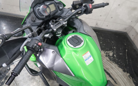 KAWASAKI VERSYS-X 250 ABS TOURER LE250D