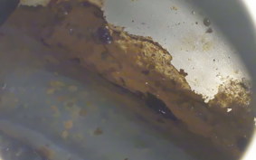 HARLEY FXDL 1580 2007