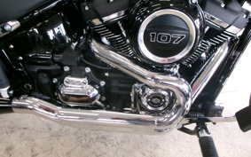 HARLEY FLSB 2024 YMJ