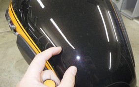 KAWASAKI W800 2018 EJ800A