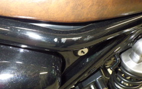 KAWASAKI W800 CAFE 2022 EJ800E