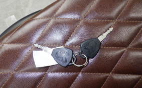 OTHER +UNREGISTERED MODEL by BDS250 2017