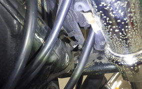 HONDA 250T LA CUSTOM 2020 MC07