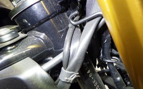 KAWASAKI Z900RS SE 2024 ZR900K