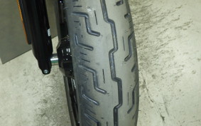 HARLEY FXBB1920 2025