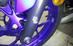 YAMAHA YZF-R25 RG10J