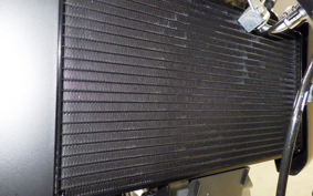 SUZUKI SV650 A 2025 VP55E