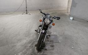YAMAHA VIRAGO 250 3DM