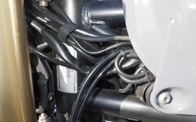 DUCATI SCRAMBLER 1100 SPA 2021