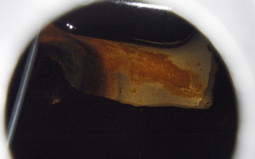 HARLEY FXSE1800CVO 2016