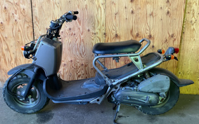 HONDA ZOOMER SPECIAL EDITION AF58