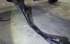HARLEY XL1200NS 2019
