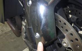 KAWASAKI NINJA H2 2019