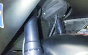 APRILIA RS250 2024