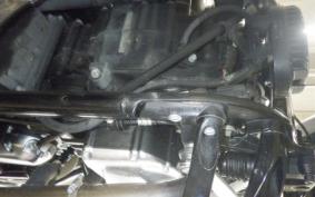 HARLEY FLBS 1870 2019