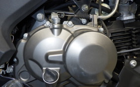 KAWASAKI Z125 PRO 2010 BR125H
