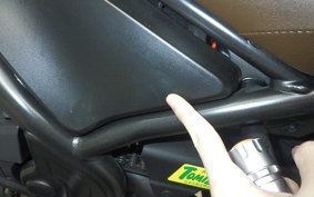 HONDA REBEL 250 S 2008 MC49