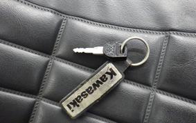 KAWASAKI Z1000 2025 Z1F