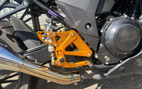 SUZUKI GSX250 R DN11A