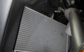 YAMAHA YZF-R25 2006 RG43J