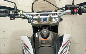 YAMAHA WR250X DG15J