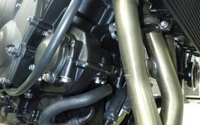 TRIUMPH TRIDENT 660 2026