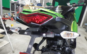 KAWASAKI NINJA 1000 2010