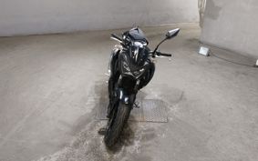 KAWASAKI Z250 ER250C