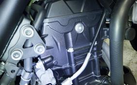 YAMAHA MT-25 A RG43J