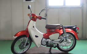 HONDA SUPER CUB110 JA59