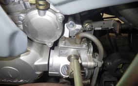 OTHER +UNREGISTERED MODEL by BDS TRIKE250 2014