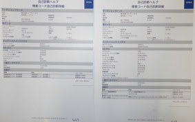 YAMAHA XSR900 2016 RN46J