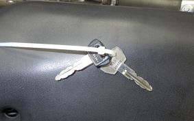 SUZUKI GOOSE 250 NJ46A