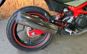HARLEY RH975S 2026 ZF1