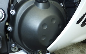 KAWASAKI ZX 1400 NINJA R A 2020