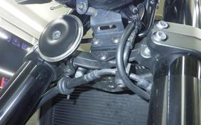 KAWASAKI Z900RS 2024