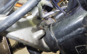 YAMAHA VIRAGO 250 2014 3DM
