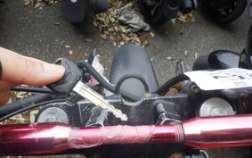 HONDA HORNET 250 MC31