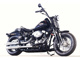 Фото Harley FLSTSB 2009 с японского аукциона