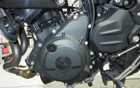 KAWASAKI Z250 Gen.2 2023 EX250Y