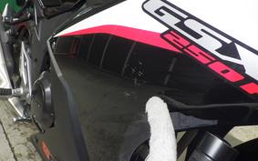 SUZUKI GSX250R 2021