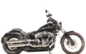 HARLEY FXS 2011 JP5