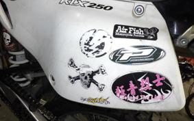 KAWASAKI KLX250 2010 LX250E