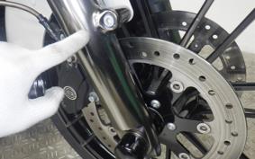 HARLEY FLTRXSE1920CVO 2021