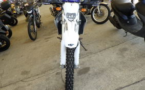 YAMAHA WR250R DG15J