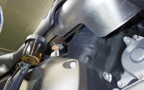 HARLEY RH1250S 2024