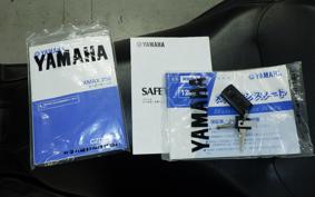 YAMAHA X-MAX 250 A SG42J