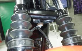 HARLEY XL1200N 2008